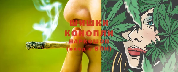 сатива Нягань