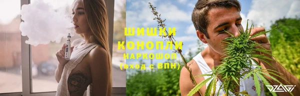 эйфоретик Няндома