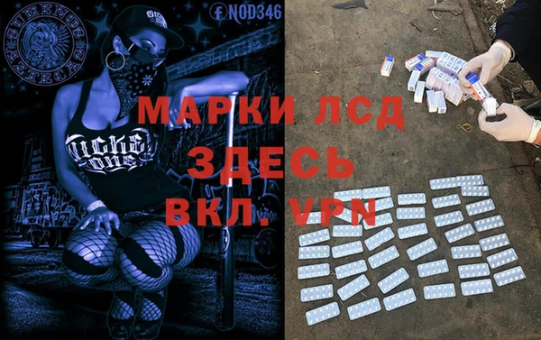 эйфоретик Няндома