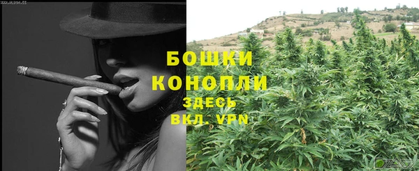 индика Новозыбков