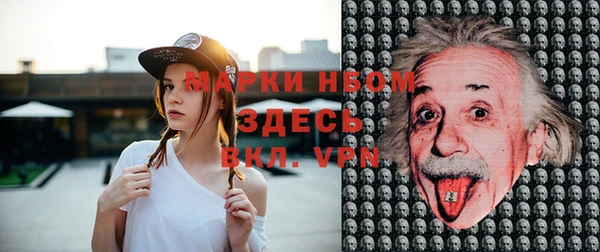 эйфоретик Няндома