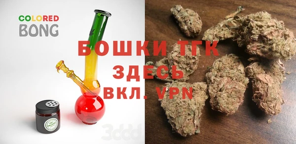 эйфоретик Няндома
