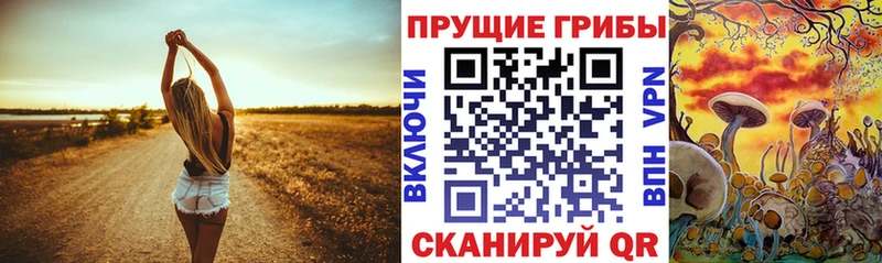 где продают наркотики Кизел Псилоцибиновые грибы Psilocybe