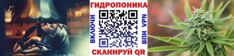 Канабис White Widow  Кизел 